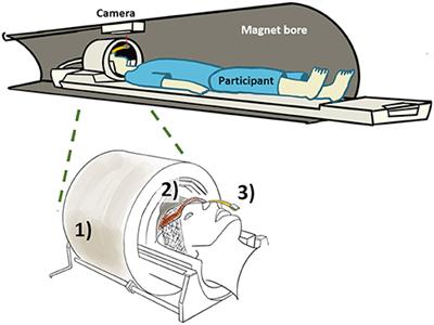 Monitoring the Neurotransmitter Response to Glycemic Changes Using an Advanced Magnetic Resonance Spectroscopy Protocol at 7T